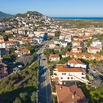 Tulipano *